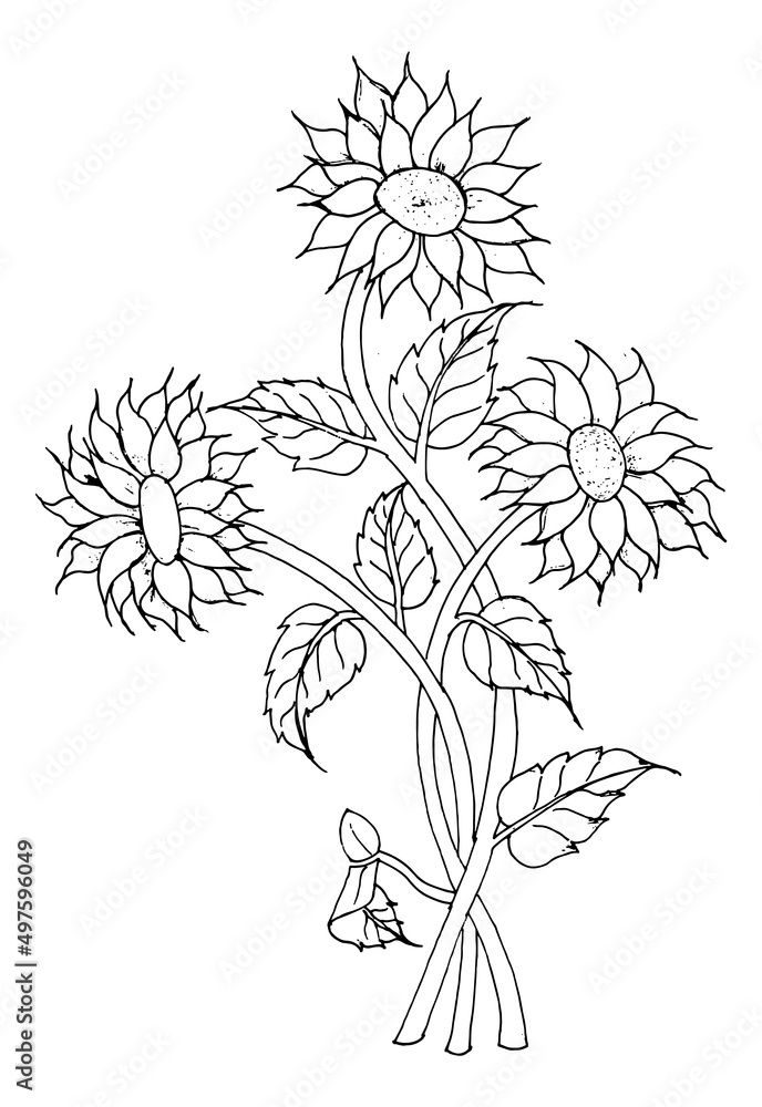 Hand-drawn flowers and leaves are isolated on white. Tattoo design, coloring page, wedding decoration, monochrome vector line art a lovely floral creation in the style of the past Hand-drawn flowers and leaves are isolated on white. Tattoo design, coloring page, wedding decoration, monochrome vector line art a lovely floral creation in the style of the past