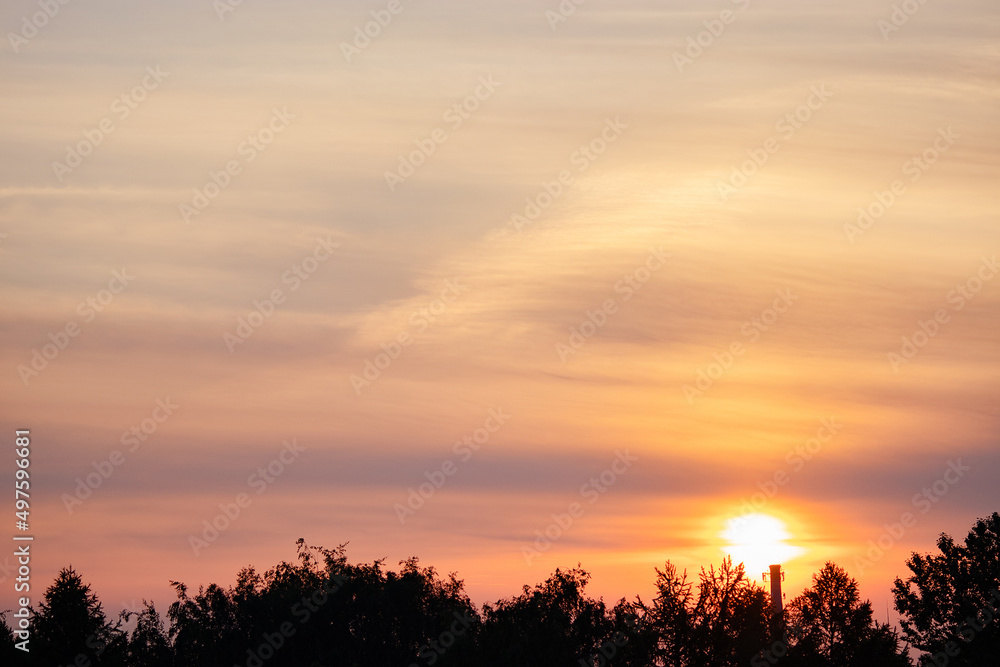 Sunset over forest. Orange and pink clouds in sky. Tree silhouettes. Sunset over forest. Orange and pink clouds in sky. Tree silhouettes.