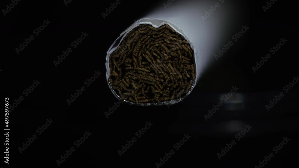 Cigarettes with the chopped tobacco leaves Cigarettes with the chopped tobacco leaves
