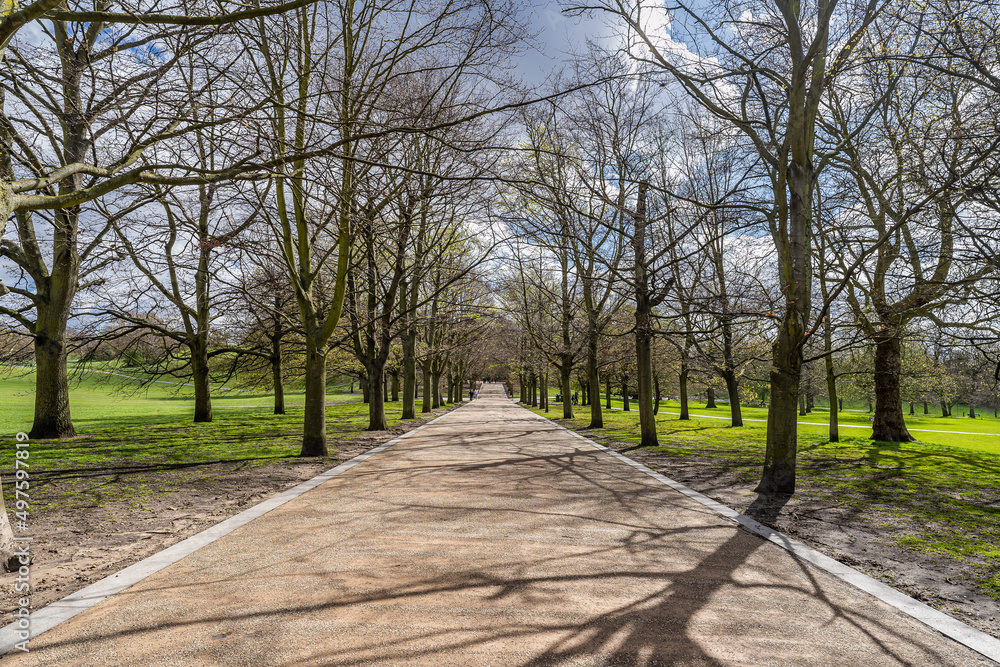 trees in the park, shadow and sunshine, footpath in the park
