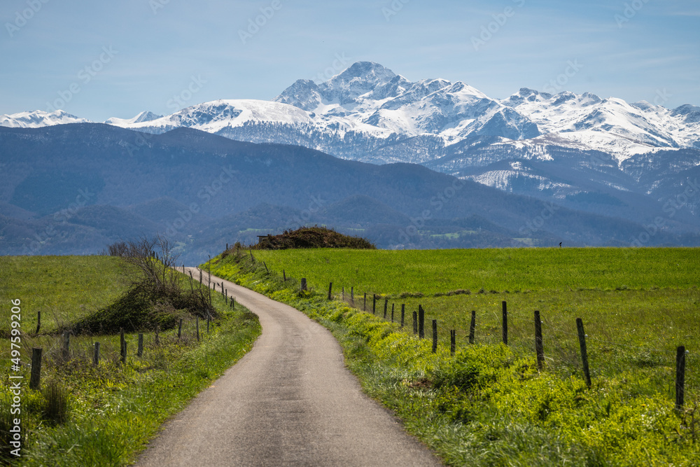 Countryside road in southwestern France with the Pyrenees mountains in the background
