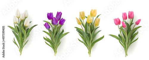 Multicolour bouquet of tulips realistic 3d vector illustration big set. Yellow, white, pink, purple tulips with leaves isolated on white. Women day 8 march spring symbol. Bouquet fresh shiny tulips 