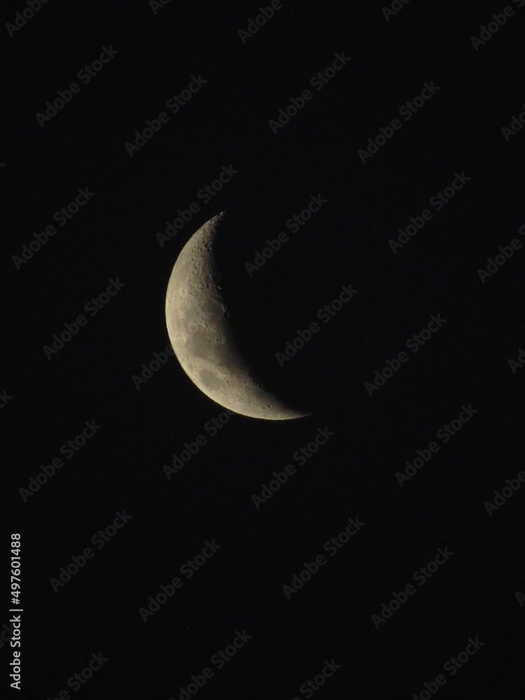 moon moon