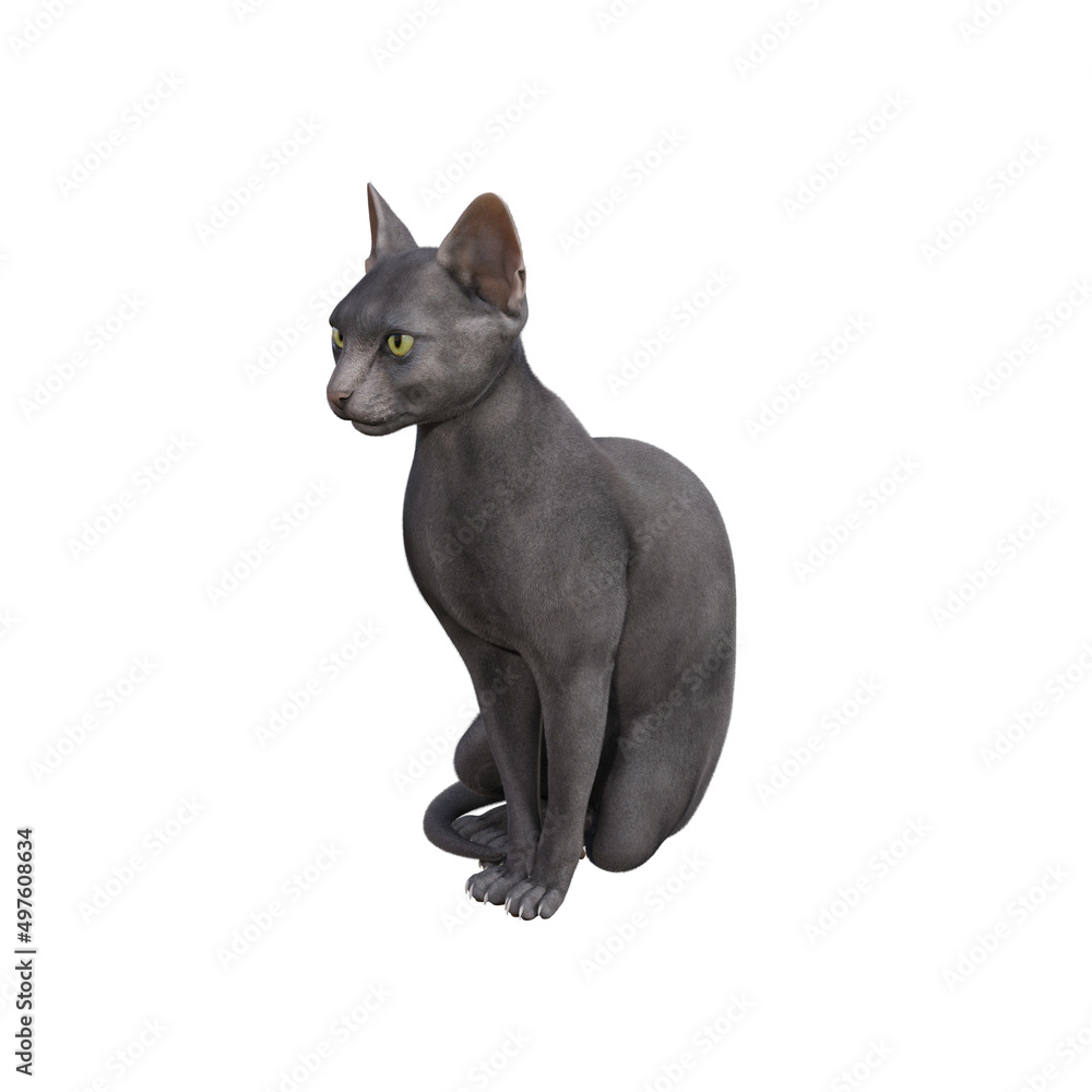 Sphynx cat isolated on white background. 3d rendering-illustration.