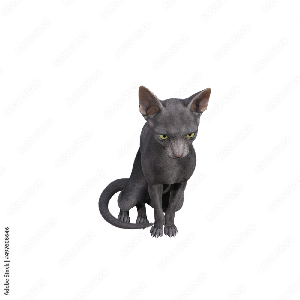 Sphynx cat isolated on white background. 3d rendering-illustration.