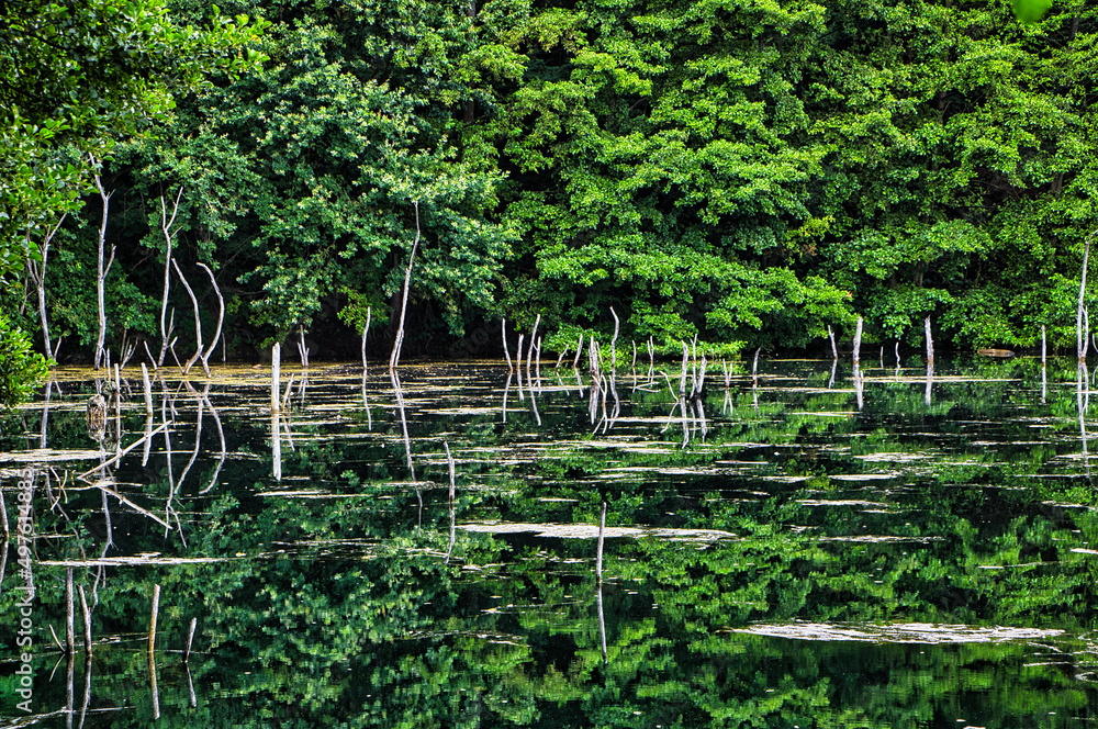 Fototapeta premium Blick auf See im Sommer 
