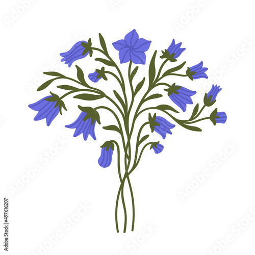 Hand drawn Bluebell Flower and leaves. Wild Blue Bells bouquet. Blooming Bellflower. Harebell, Summer plant. Floral clipart, flat vector element isolated for print design, greeting card, invitation