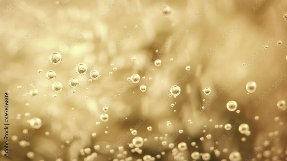 Champagne Drink Is Topped Up Macro Shot Champagne Drink Is Topped Up Macro Shot
