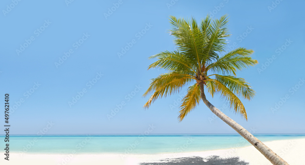 Exotic shores.... A beautiful turquoise ocean with a palm tree in the foreground.