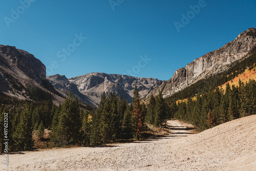 Custer National Forest photo