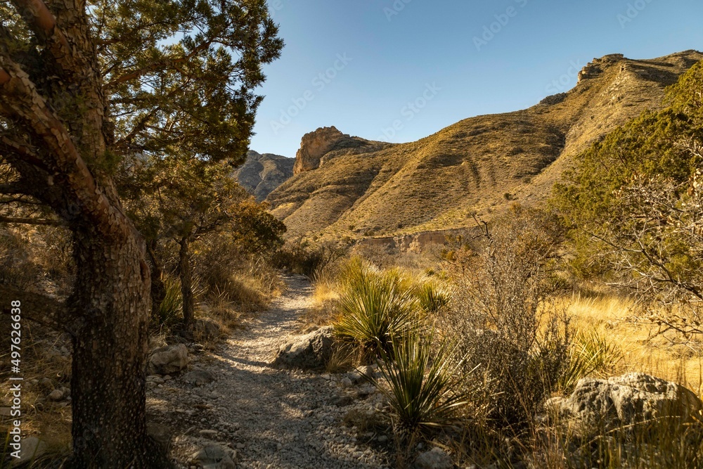 Path curving through desert mountains