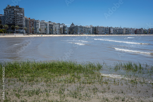 View of buildings in Pocitos, Montevideo, Uruguay, seen from the Rio de la Plata. photo