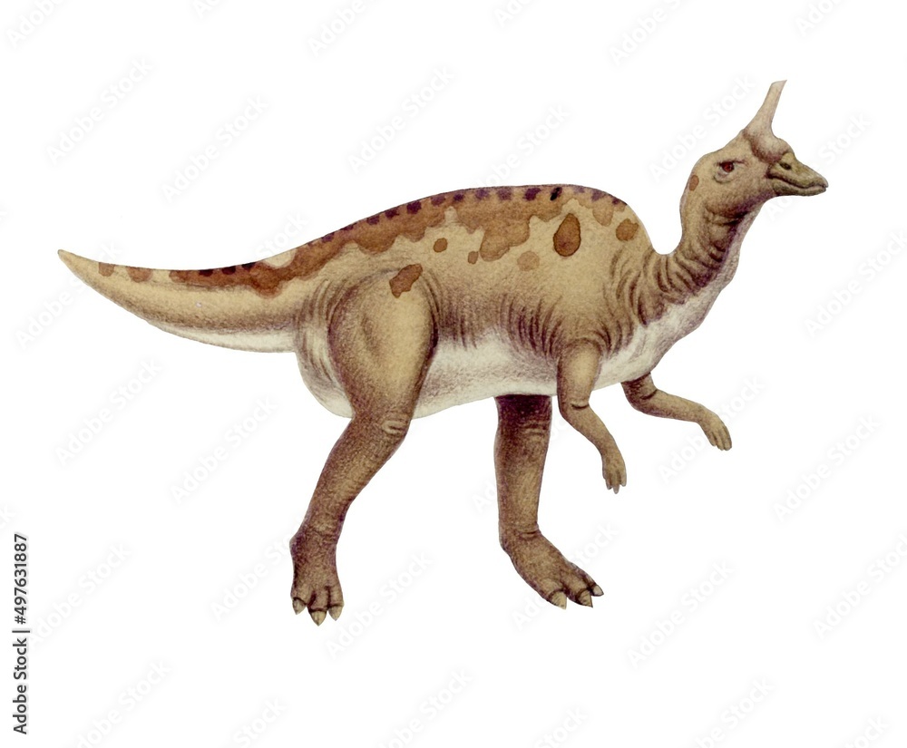 Obraz premium 恐竜