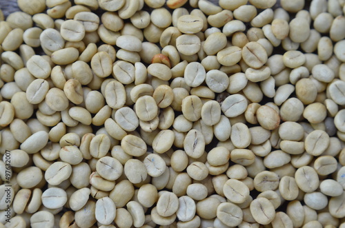 Close up of dried parchment.