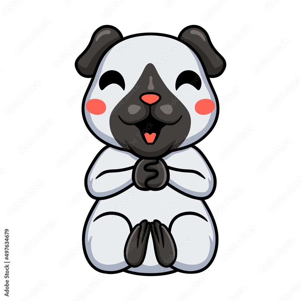 Cute little siamese guinea cartoon sitting Cute little siamese guinea cartoon sitting