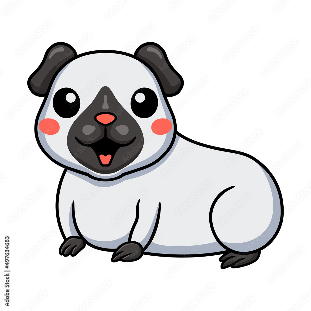 Cute little siamese guinea cartoon Cute little siamese guinea cartoon