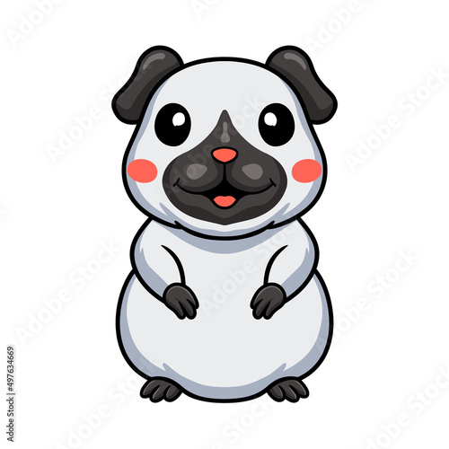 Cute little siamese guinea cartoon standing