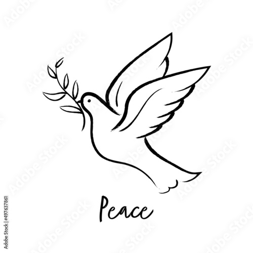 Flying dove holding olive branch hand drawing. Peace dove vector.