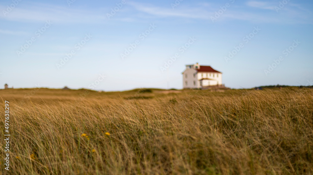 Cape Cod Beach Dune Landscape at Race Point Cape Cod Beach Dune Landscape at Race Point