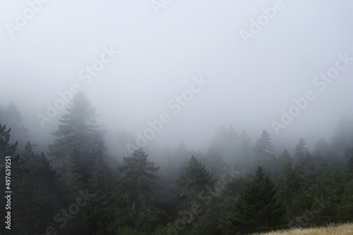 Fototapeta Naklejka Na Ścianę i Meble -  mist in the mountains