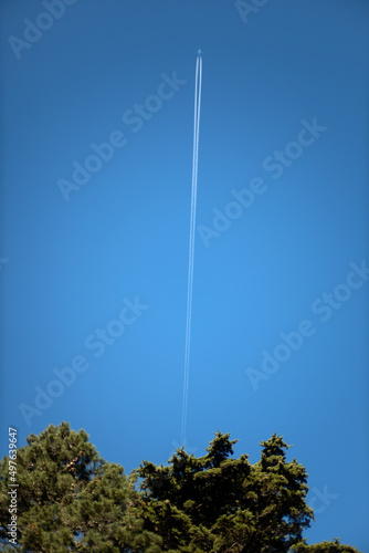 green trees in the blue-sky with plane traces