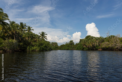 A lagoon with trees and palms at La Ventanilla  photo