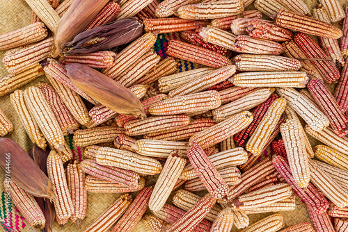 red and yellow corns grouped on a mat in Oaxaca