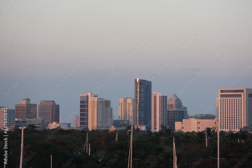 Fototapeta premium Sunny South Florida