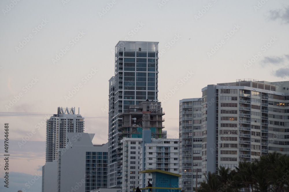 Fototapeta premium Sunny South Florida