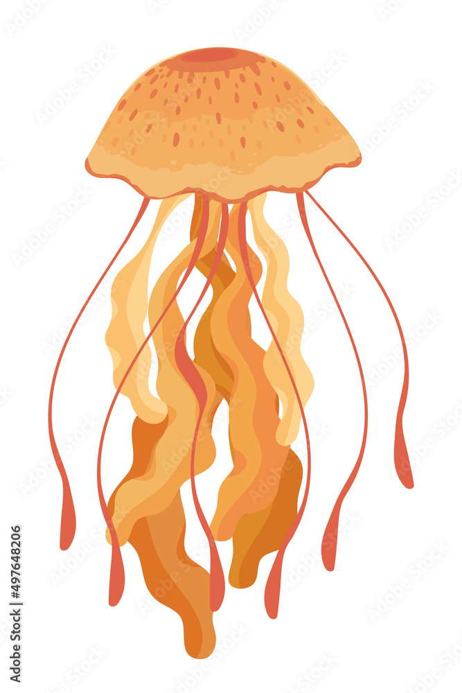 Fototapeta premium jellyfish sea life