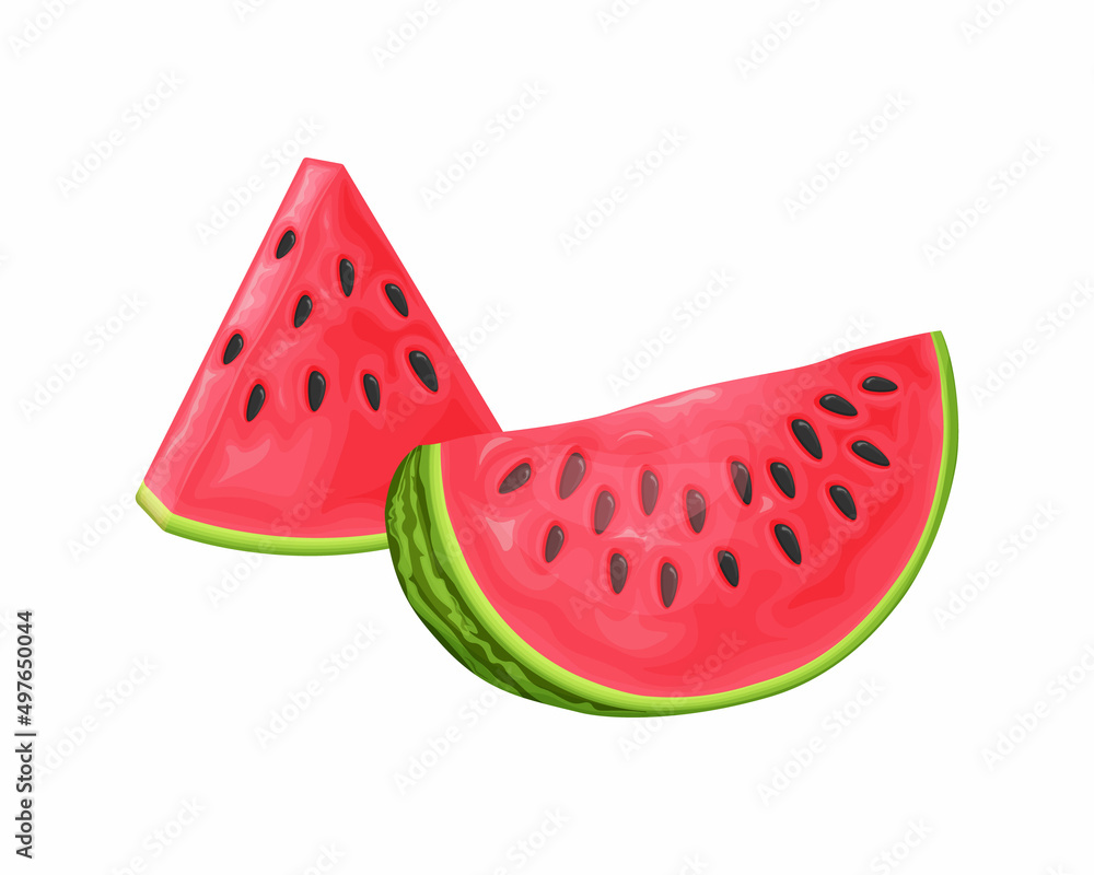 Watermelon. A piece of ripe watermelon. Sliced red ripe watermelon. Vector illustration isolated on a white background Watermelon. A piece of ripe watermelon. Sliced red ripe watermelon. Vector illustration isolated on a white background