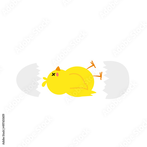 small baby bird emergence from egg, cracked shell in laying hens nest,Chicken hatching stages. Newborn little cute chick,Easter chicks concept.