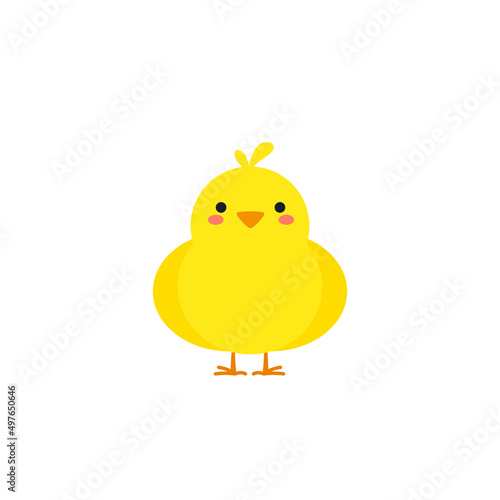 small baby bird emergence from egg, cracked shell in laying hens nest,Chicken hatching stages. Newborn little cute chick,Easter chicks concept.