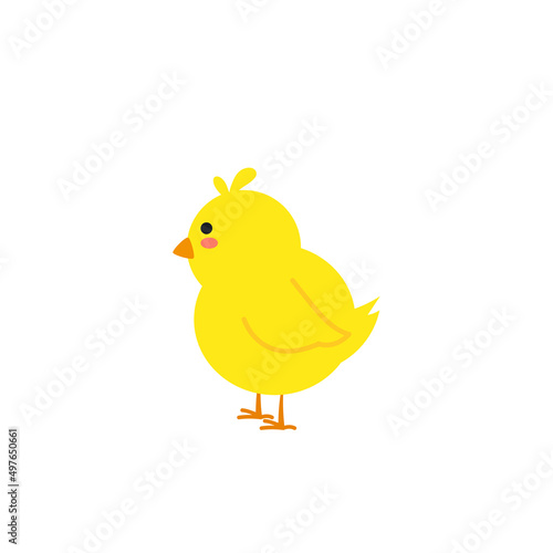 small baby bird emergence from egg, cracked shell in laying hens nest,Chicken hatching stages. Newborn little cute chick,Easter chicks concept.