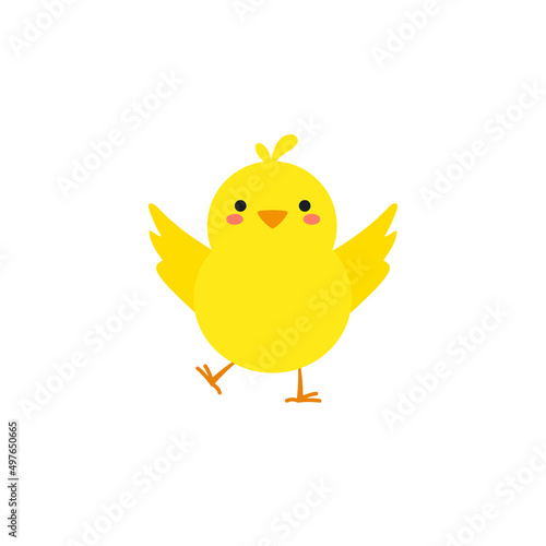 small baby bird emergence from egg, cracked shell in laying hens nest,Chicken hatching stages. Newborn little cute chick,Easter chicks concept.