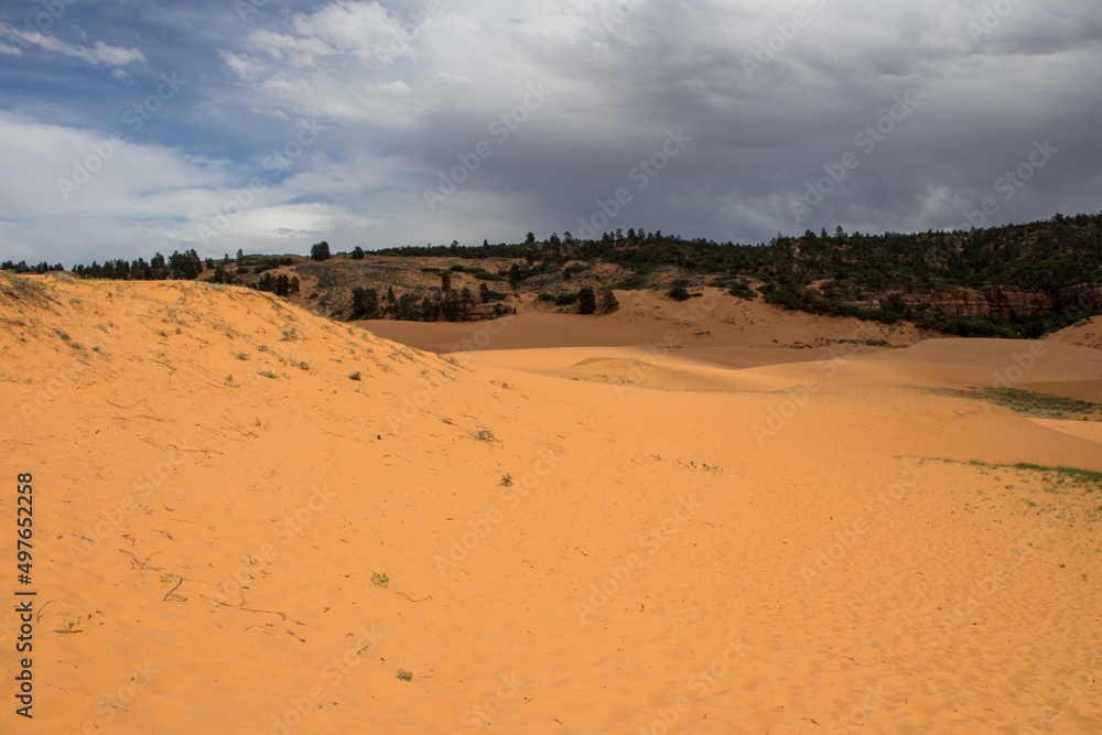 Coral Pink Sand Dunes, Utah