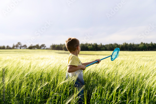 Active child catching insects with net in field photo