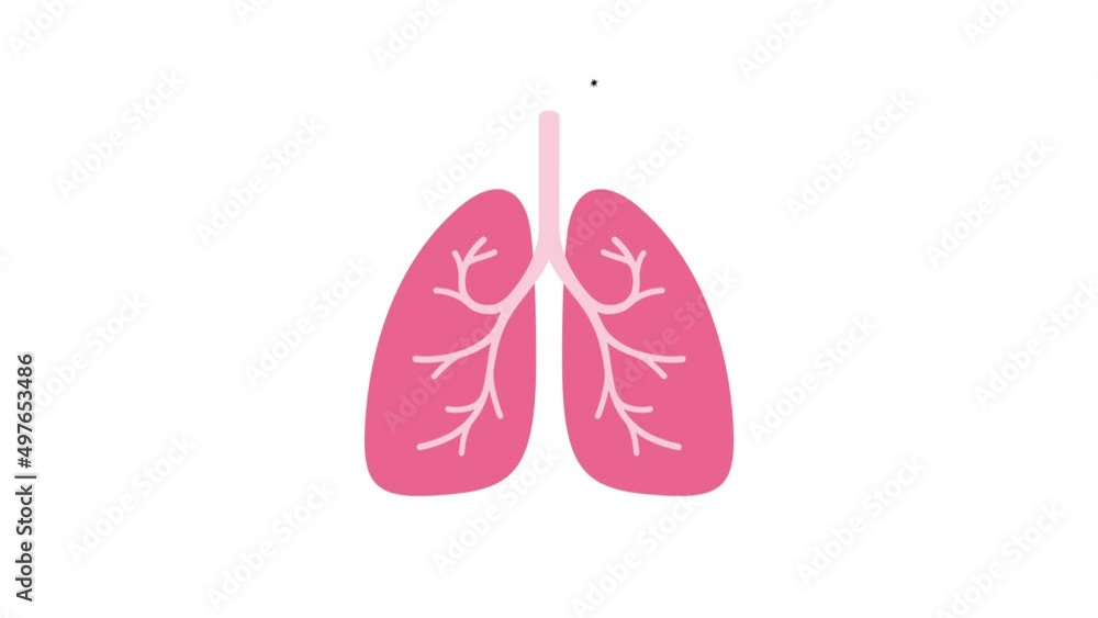The process of coronavirus infection, MG animation , cartoon style The process of coronavirus infection, MG animation , cartoon style