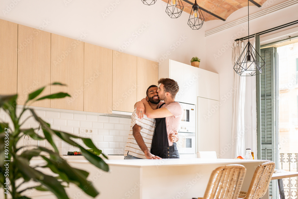 Cheerful Gay Couple At Home Cheerful Gay Couple At Home