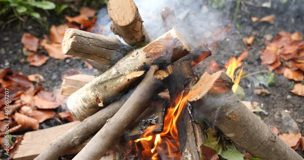 Wild camping bonfire campfire in remote rural trekking travel natural park destination, outdoor survival experiences in the forest Wild camping bonfire campfire in remote rural trekking travel natural park destination, outdoor survival experiences in the forest