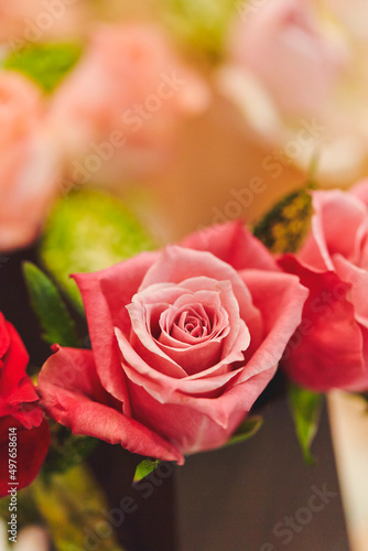 Wallpaper Mural pink roses in a garden Torontodigital.ca