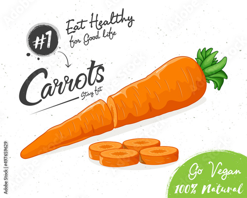Carrot Illustration_04