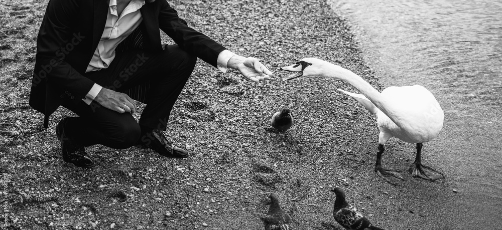 © Simone Wave/Stocksy - Man feeding a swan © Simone Wave/Stocksy - Man feeding a swan