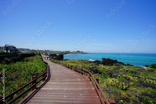 fascinating seaside walkway and blue sea 