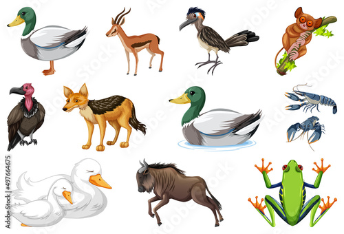 Set of different kinds of animals