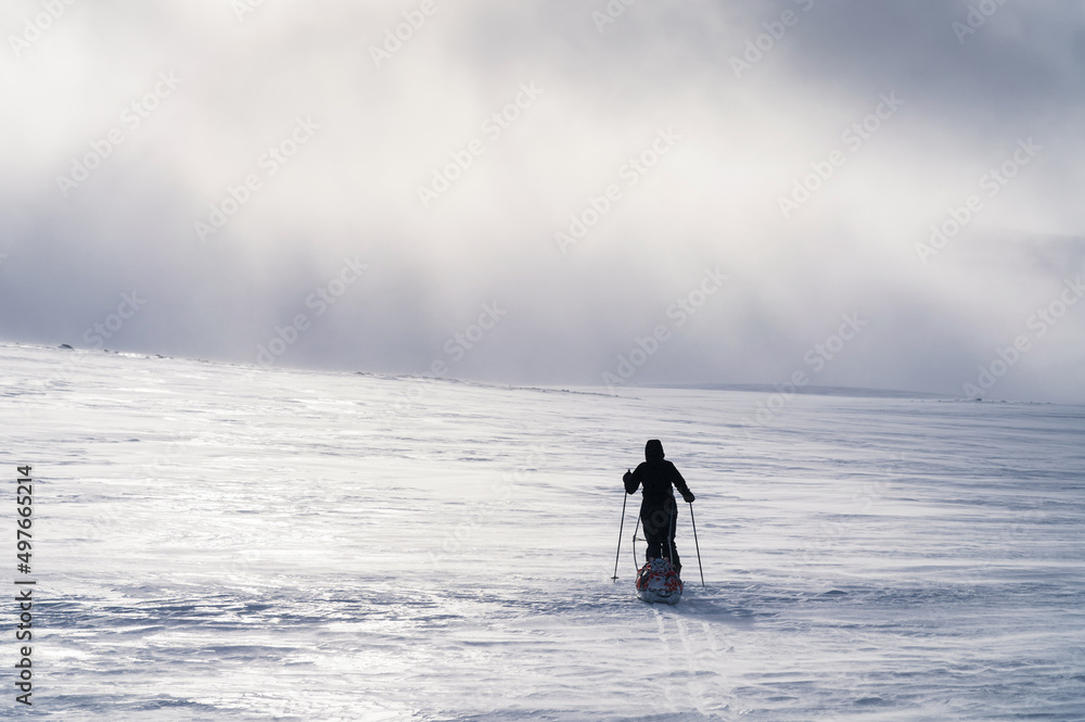 Woman cross-country skiing during a winter storm in an Arctic wilderness.