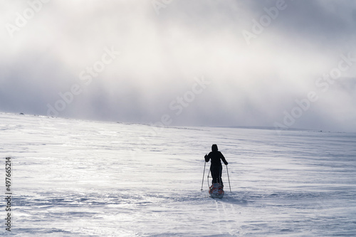 Woman cross-country skiing during a winter storm in an Arctic wilderness. photo
