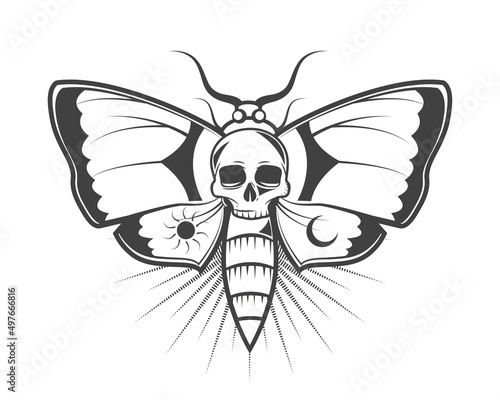 tattoo butterfly and skull