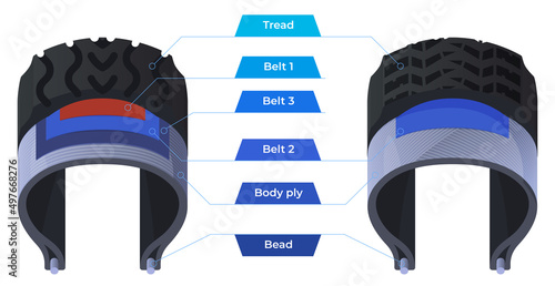 Different types of car tires. Tires in terms of their components. Vector illustration on a white background