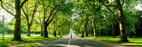 Hyde Park London Path